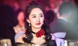 娱乐明星圈最新爆料,当红明星背后的惊人真相