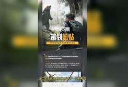 黎明爆料最新视频,幕后故事与精彩瞬间大公开