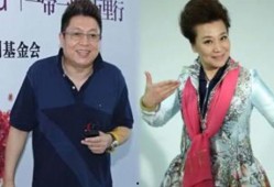 王芳最新爆料王为念,王为念背后的惊人真相
