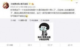 龙猫爆料主播视频大全最新,揭秘主播圈最新视频大全精彩瞬间